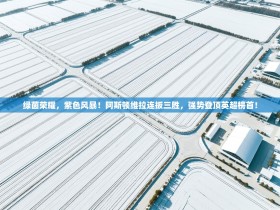 绿茵荣耀，紫色风暴！阿斯顿维拉连扳三胜，强势登顶英超榜首！