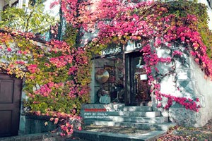 临危受命，绝地反击：紧急替补的闪耀时刻