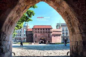 临危受命，绝地反击：紧急替补的闪耀时刻