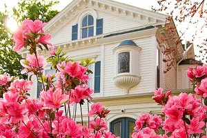 浴火重生：北京开拓者，风雨兼程，只为下一场辉煌