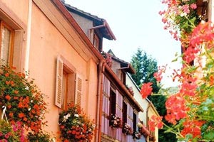 临危受命，绝地反击：紧急替补的闪耀时刻