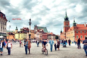 王牌球员砍下高分，率队攀升积分榜