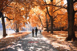 临危受命，绝地反击：紧急替补的闪耀时刻