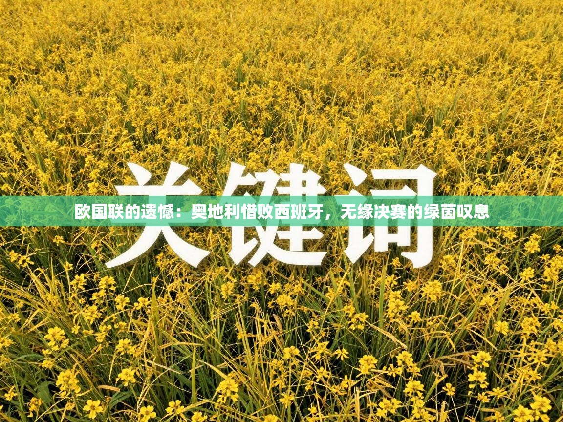 欧国联的遗憾:奥地利惜败西班牙,无缘决赛的绿茵叹息 第1张