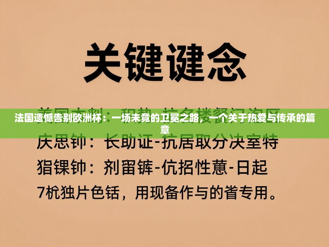 法国遗憾告别欧洲杯:一场未竟的卫冕之路,一个关于热爱与传承的篇章 第1张